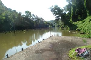New Henderson Rd