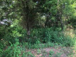 619 Tanasi Lane 16