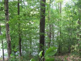 155 Pineridge Loop