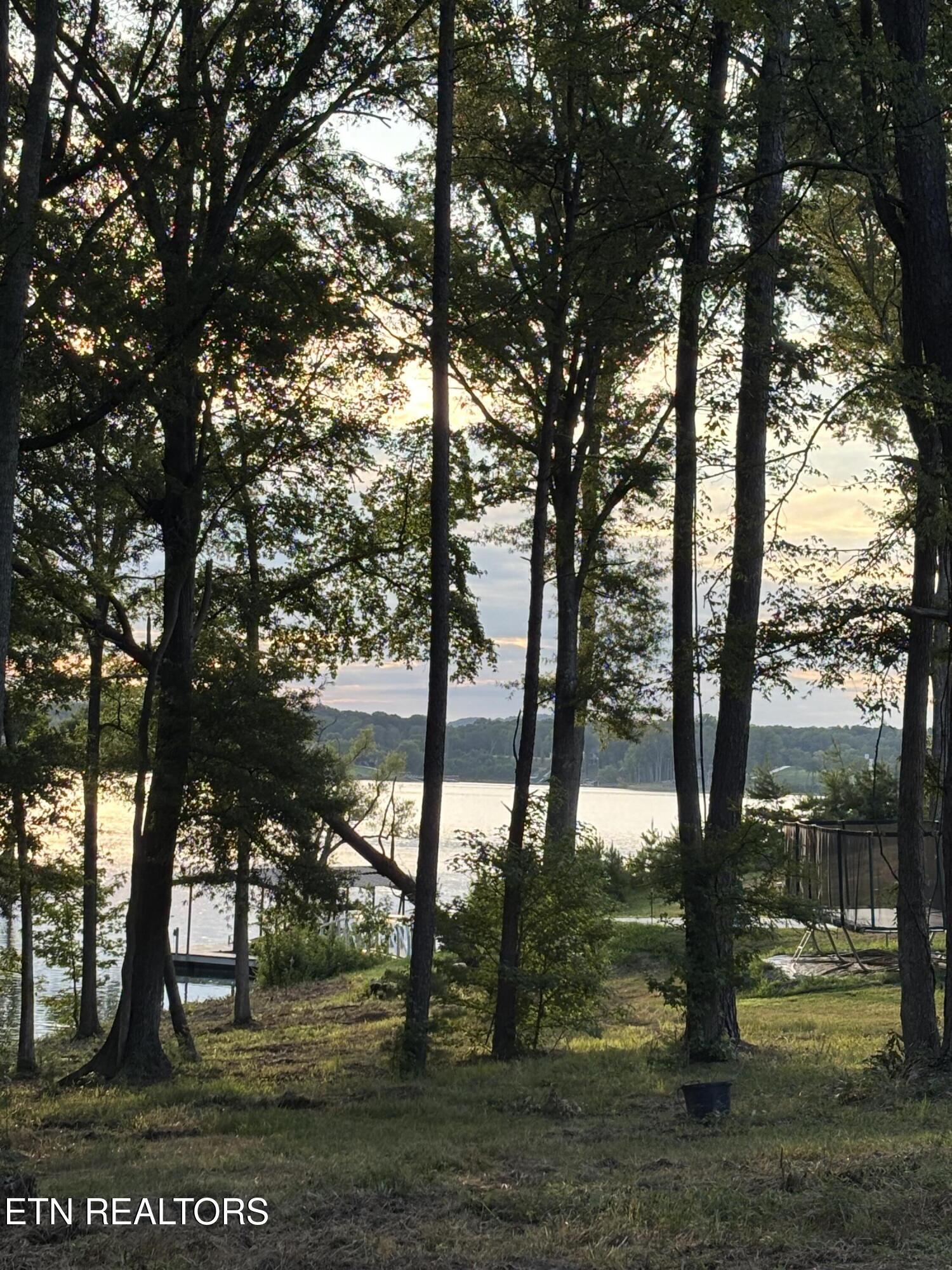 Image 1: lot 43 A