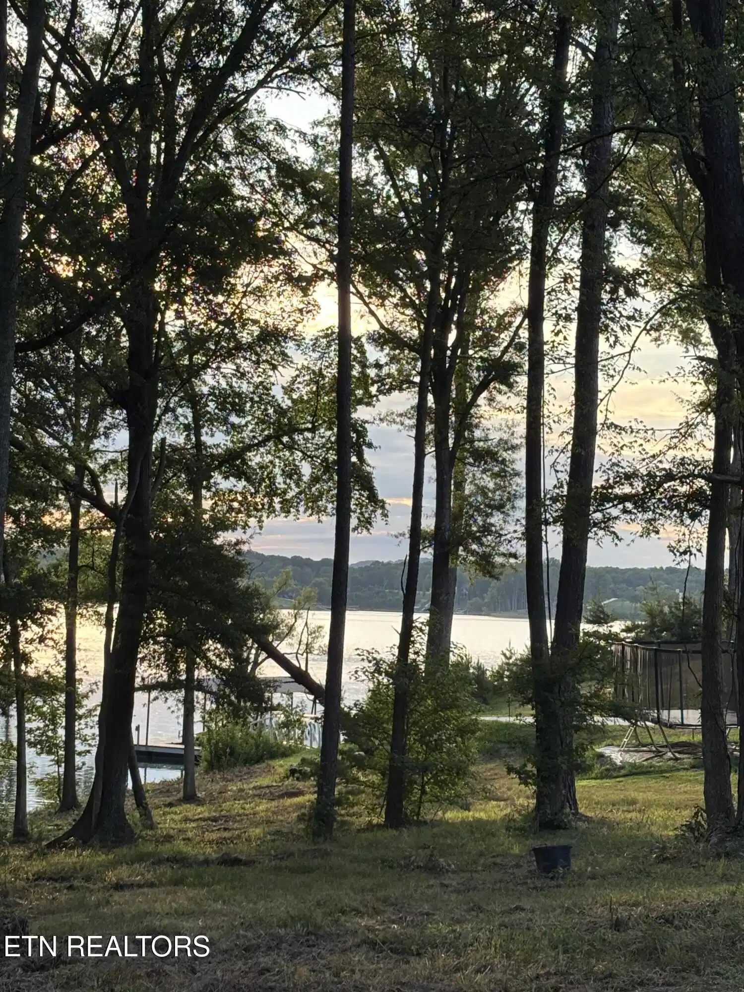 Image 1: lot 43 A