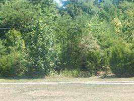Baye Rd 137