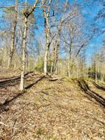 Laurel Wood Rd