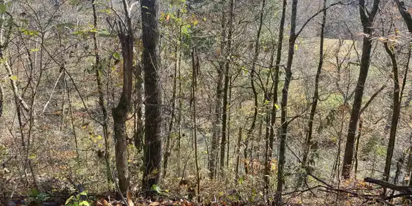 Big Sewee Rd