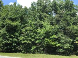 Lot 7 & 8 Anne Rd