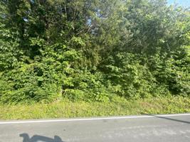 Lot 71 Big Valley Rd