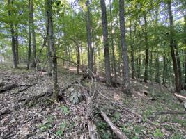 331 Rotherham Dr