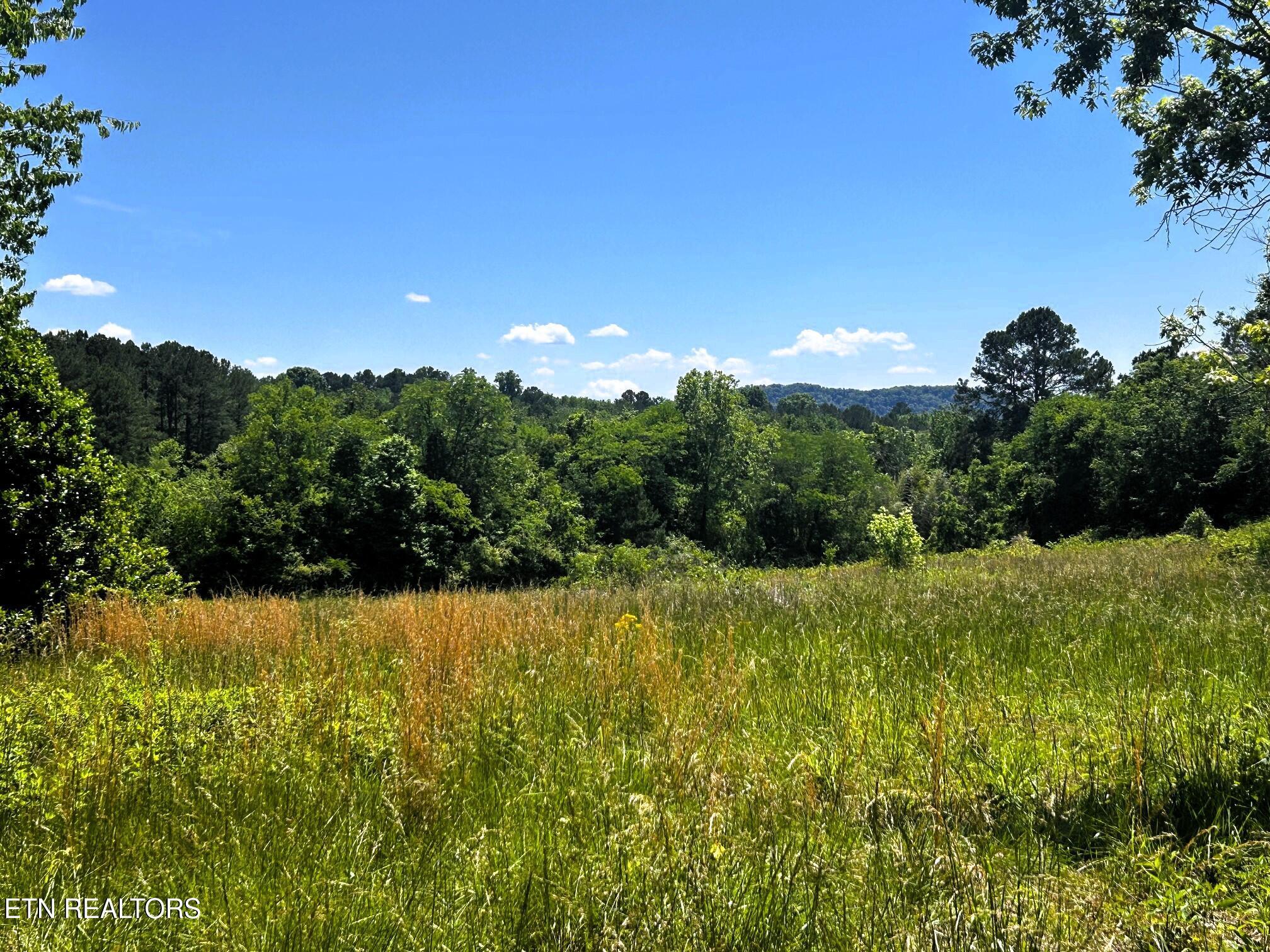 Image 3: Judd lane views