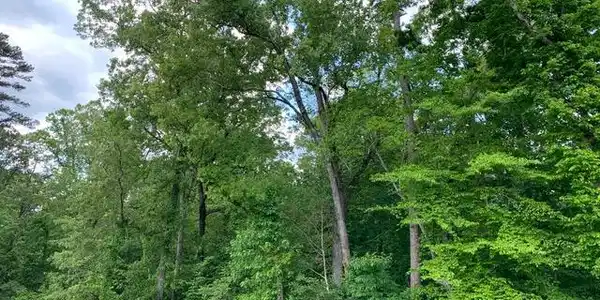 Lot 246 Arcadia Peninsula Way