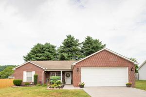 133 Elizabethton Way
