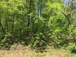 107 Mohawk Lane
