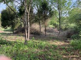 106 Wataga Lane