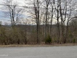 Whitetail LN