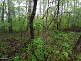 Lot 293 Pine Hollow Rd