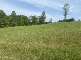 105 Clearwater Cove Dr Drive