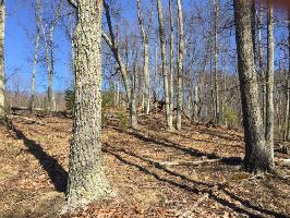 Lot 224 Pinnacle Pointe  224