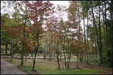 Lot 8 Scenic River Rd