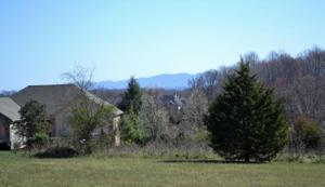Nunyu Trail  18