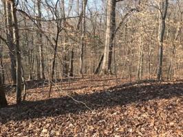 Lot 82 Abby Lane 82