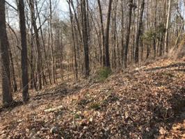 Lot 85 Abby Lane 85