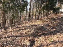 Lot 86 Abby Lane 86