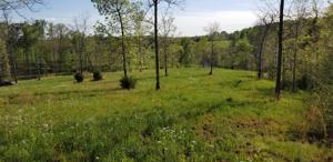 107 Bat Creek Shores Lane