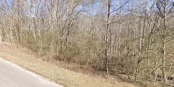 Lake Forest Drive