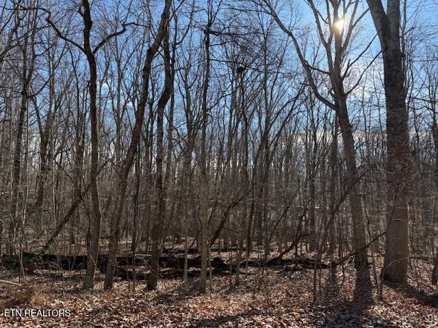 Image 1: 113OverlookCovepicA