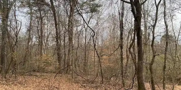 Lot 9 Randi Circle