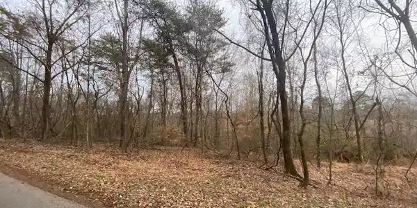 Lot 10 Randi Circle