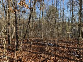 103 Albemarle Lane