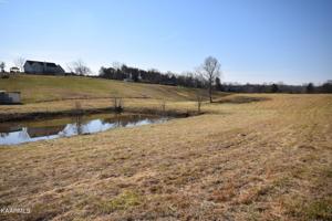 2025 Tranquility Lane