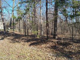 116 Wycliff Lane