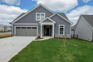501 Chestnut Place