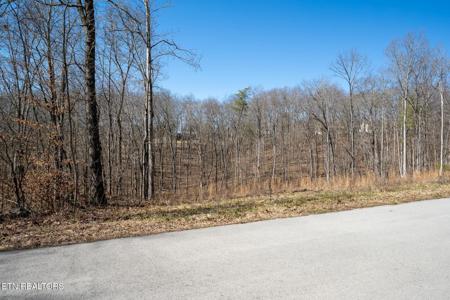 223 Clear Springs Rd
