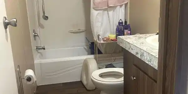 Image 3: Bathroom