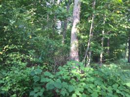 4056 Lone Wolf Circle 4