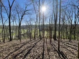 Lot 69 Lazy River Lane