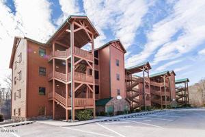 111 Evergreen Circle Conifer 201