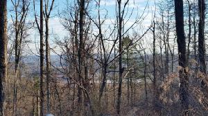 Lot 34 Bayside Blvd 34
