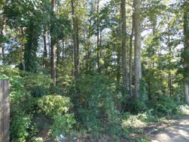 Lot 46 Mt. Vista Drive