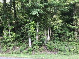 Lot 50 Mt. Vista Drive 50