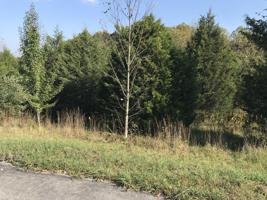 148 Nunya Trail