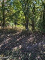 Lot 15 GOLANVYI Tr