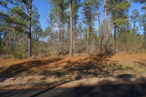 Lot 34r Wilderness Drive 34r