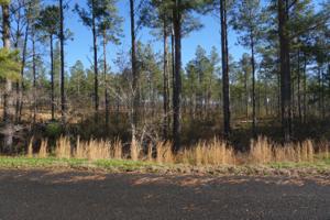 Lot 36r-2 Quail Run Drive