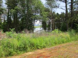 Lakeside Lane