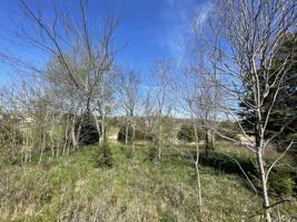 419 Kahite Trail