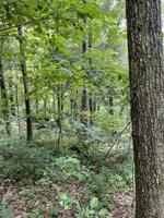 Whitman Hollow Rd