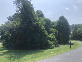 154 Tahlequah Lane
